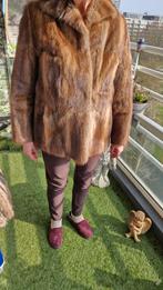 Prachtige 3/4 bondjas, maat., Ophalen, Zo goed als nieuw, Maat 38/40 (M)