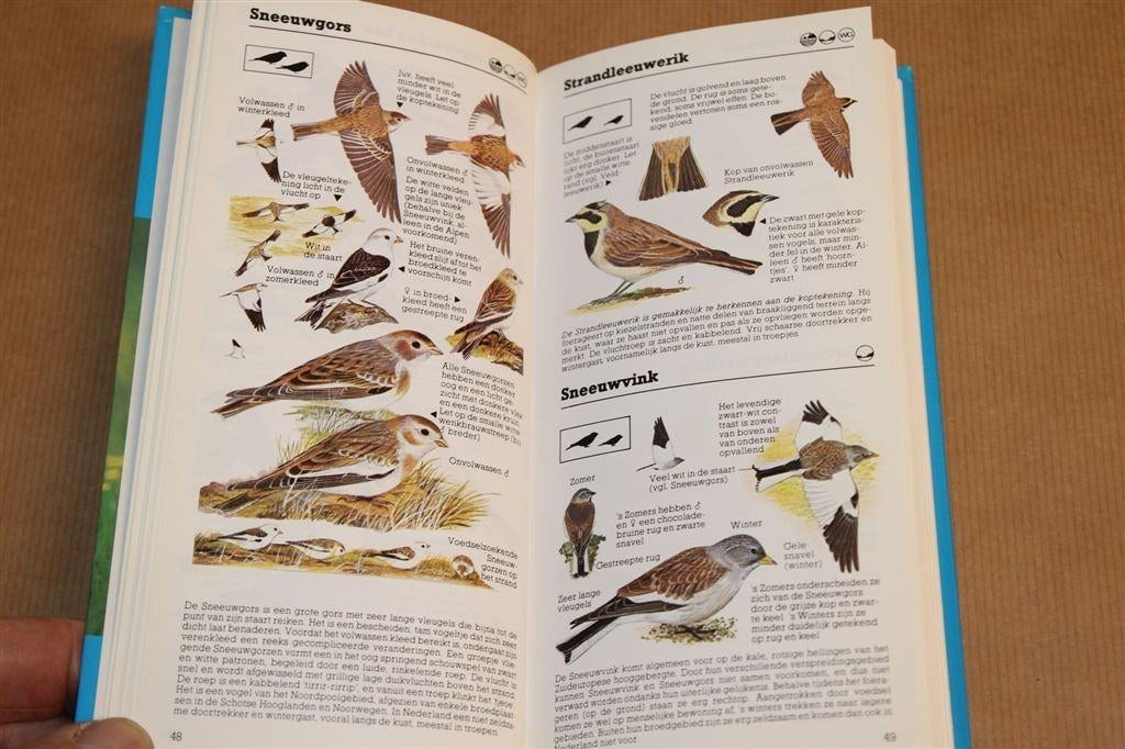 Zakgids Vogels — Alle Vogels Herkennen — Vogelbescherming, Ophalen of Verzenden, Zo goed als nieuw, Vogels
