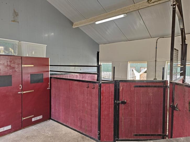 Paardenstal vrij op all in privestal Leidschendam, Dieren en Toebehoren, Stalling en Weidegang, Stalling, Weidegang