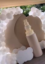 Gender reveal - Boy or girl - Styling - Thema - Decoratie, Hobby en Vrije tijd, Feestartikelen | Verhuur, Ophalen, Zo goed als nieuw