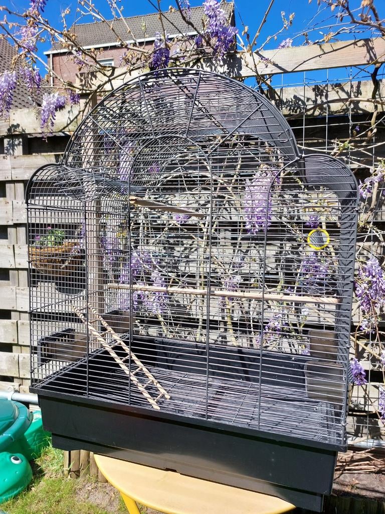 Grote vogelkooi, Dieren en Toebehoren, Vogels | Hokken en Kooien, Ophalen, Gebruikt, Metaal, Vogelkooi