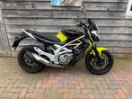 nette suzuki gladius 650, Motoren, Motoren | Suzuki, 2 cilinders, Motorrijbewijs A, Bedrijf, Meer dan 35 kW