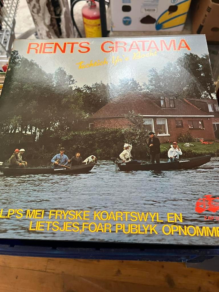 16 Friese lp's- friestalige lp, Cd's en Dvd's, Ophalen of Verzenden, Gebruikt, 12 inch