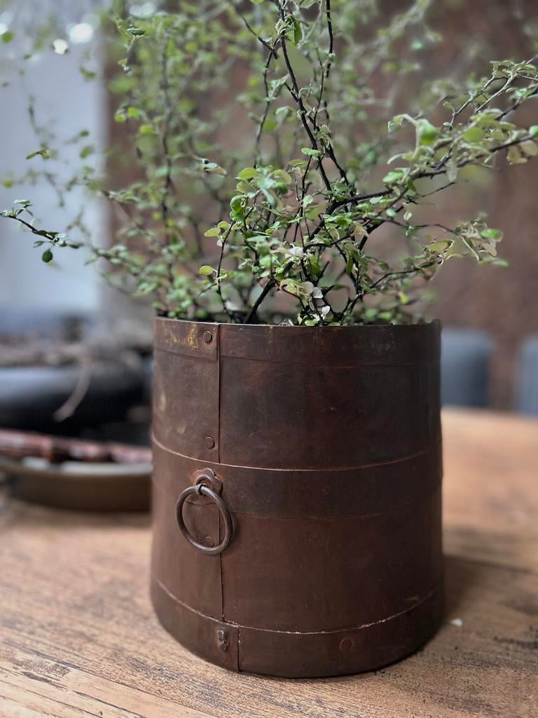 Oud roestige ijzeren pot met houten deksel sober sleets, Ophalen of Verzenden