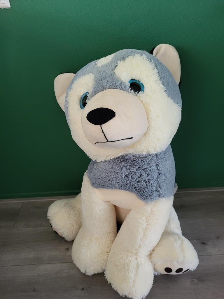 TE KOOP MOOIE NIEUWE HUSKY PLUCHE HOND, Ophalen of Verzenden, Nieuw, Hond