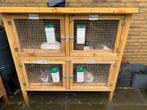 2 zeer nette konijnenhokken, 110 cm of meer, Zo goed als nieuw, Hok, Ophalen