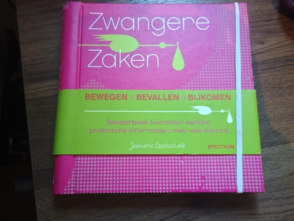 Jeanette Godtschalk - Zwangere zaken, Zwangerschap en Bevalling, Ophalen of Verzenden, Zo goed als nieuw, Jeanette Godtschalk
