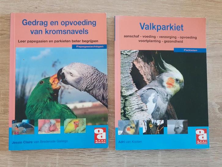 Papegaaien / Parkieten / Valkparkiet 2 boeken, Boeken, Dieren en Huisdieren, Zo goed als nieuw, Vogels, Ophalen of Verzenden