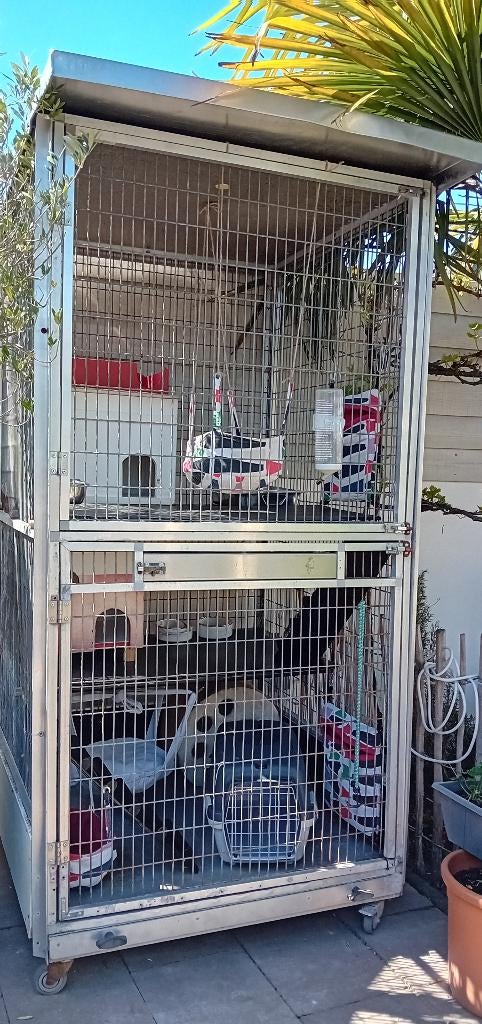 Grote kooi fretten fretjes, Ophalen, Kooi, Gebruikt, 90 cm of meer