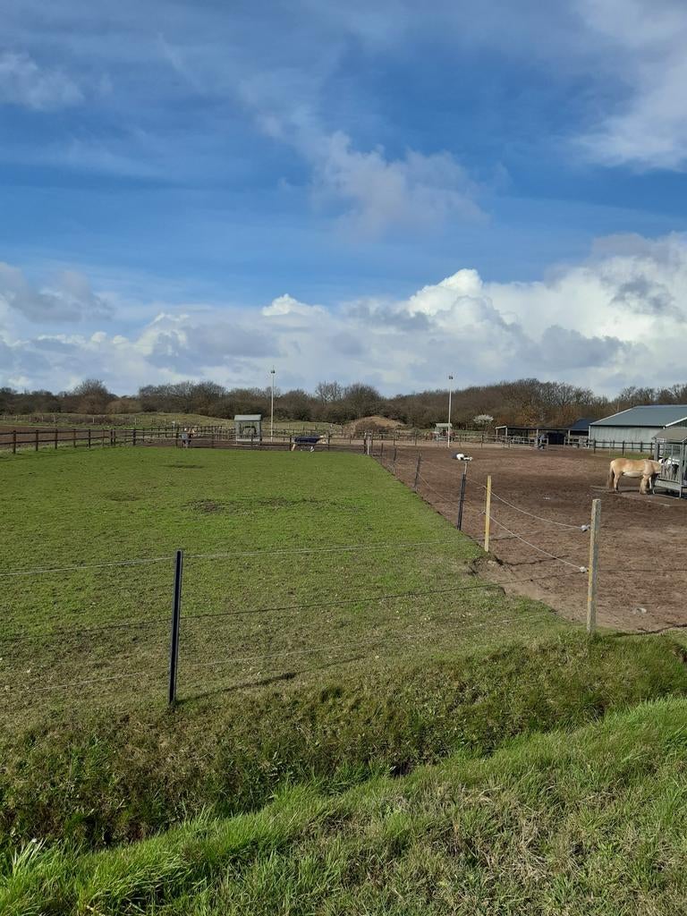 24/7 paddockparadise Heemskerk, Dieren en Toebehoren, Weidegang