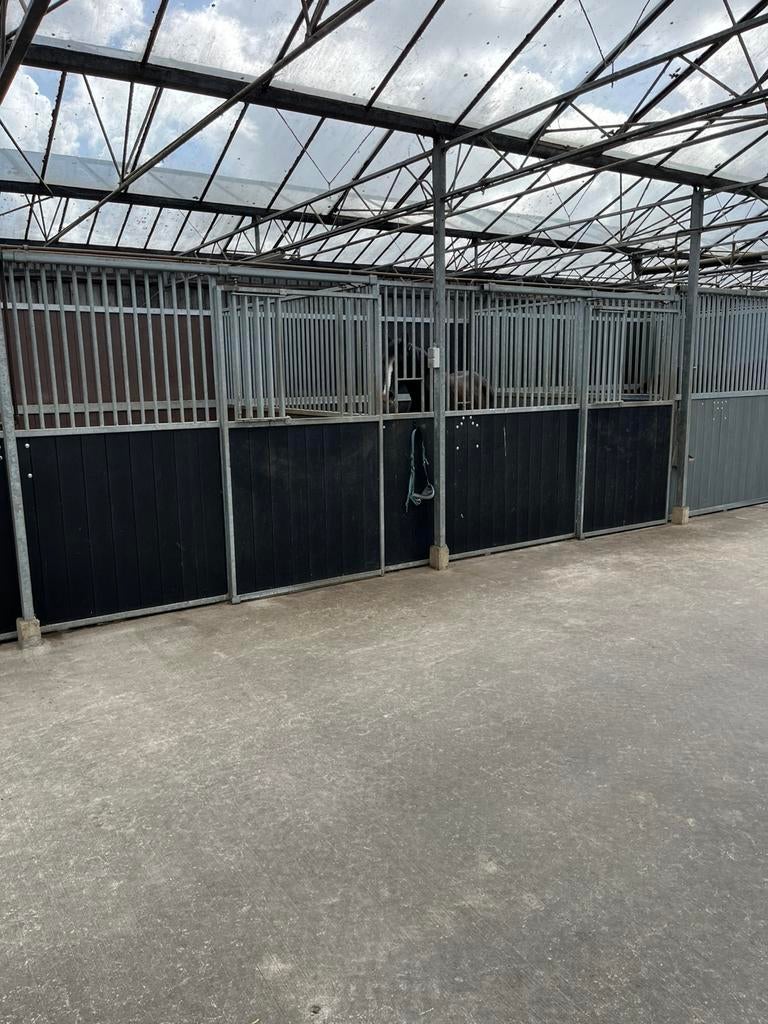 Corton boxen, Dieren en Toebehoren