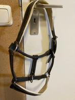 Paarden hoofdstel - Leer - Nieuw, Ophalen of Verzenden, Nieuw, Overige soorten