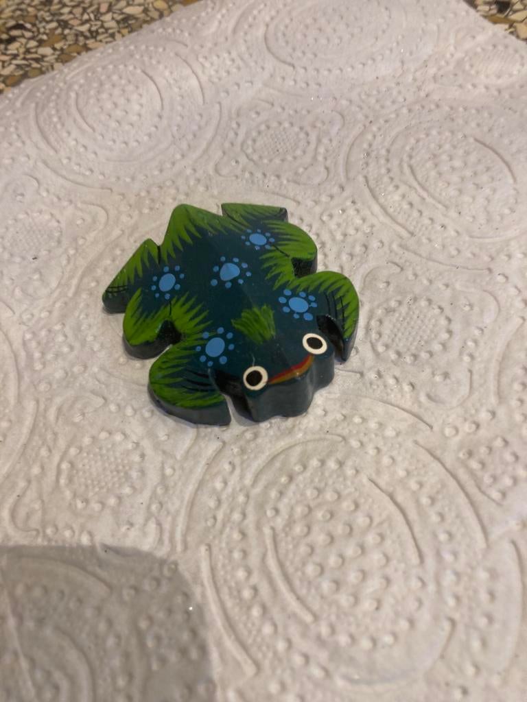 Houten kikker, Ophalen of Verzenden, Zo goed als nieuw, Dier