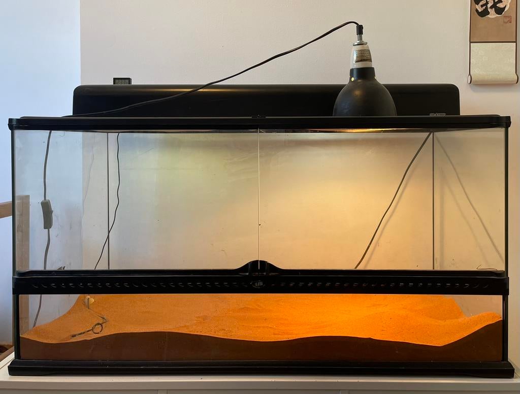 Baardagaam + terrarium en accesoires, Dieren en Toebehoren, Ophalen, Zo goed als nieuw, Terrarium of Paludarium