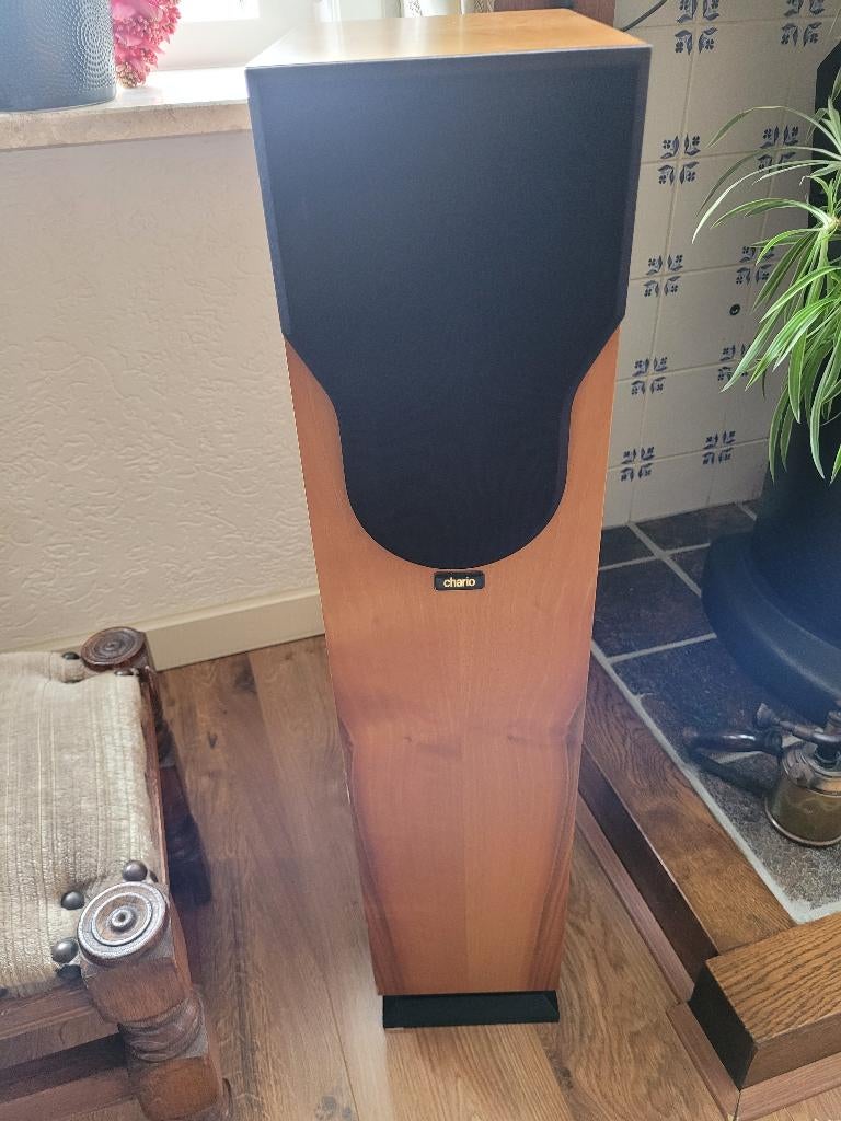 Chario luidsprekers, Audio, Tv en Foto, Luidsprekers, Gebruikt, 120 watt of meer, Front, Rear of Stereo speakers, Ophalen