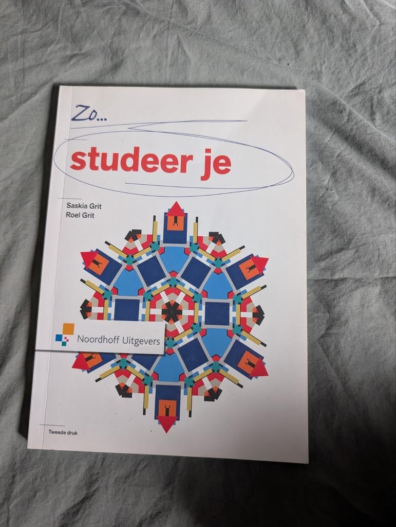 Saskia Grit - Zo studeer je, Boeken, Wetenschap, Ophalen of Verzenden, Zo goed als nieuw, Saskia Grit; Roel Grit
