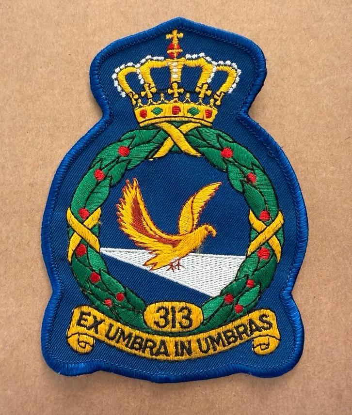 313 Squadron Kroon-Patch vlb Twenthe, Verzamelen, Militaria | Algemeen, Ophalen of Verzenden, Luchtmacht, Nederland, Embleem of Badge