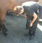 Hoefsmid aangeboden, Ophalen