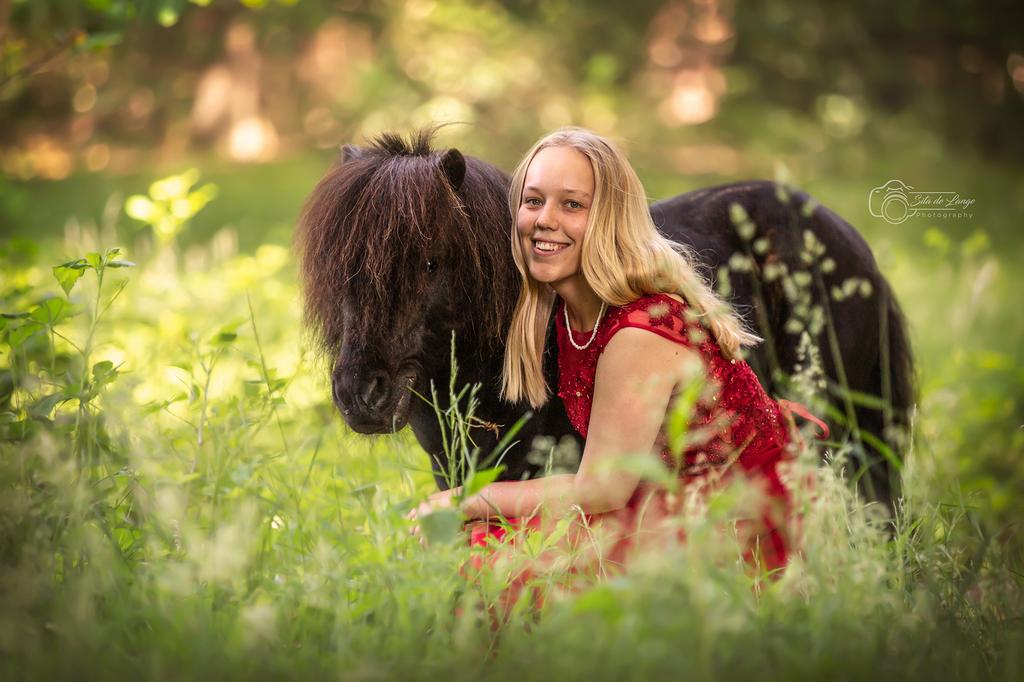 Pensionstalling gezocht shetlander Groesbeek/landelijk, Dieren en Toebehoren, Weidegang, 1 paard of pony