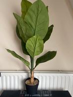 Kunstplant plant - Realistische Decoratie, Ophalen of Verzenden, Nieuw, Binnen