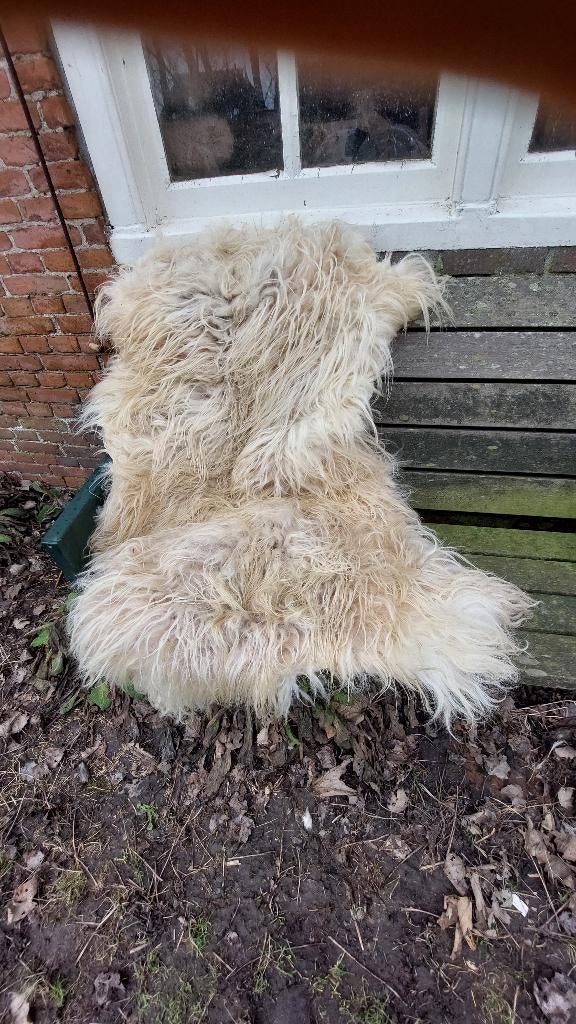 Gevilte schapenvachten en vachten om te vilten, Ophalen of Verzenden, Nieuw, Gebruiksvoorwerp, Wolvilt