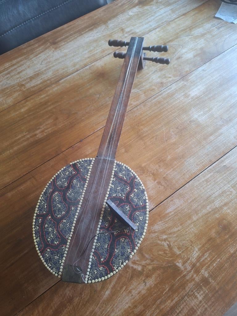 Snaarinstrument cekuntrung decoratief, Muziek en Instrumenten, Snaarinstrumenten | Overige, Ophalen of Verzenden, Overige typen