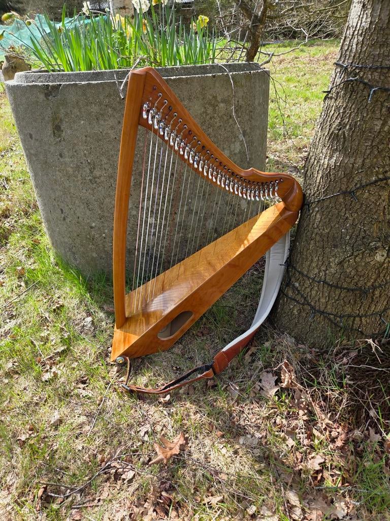 Sonnet Musicmakers Harp 29 snaren met accessoires, Ophalen, Zo goed als nieuw