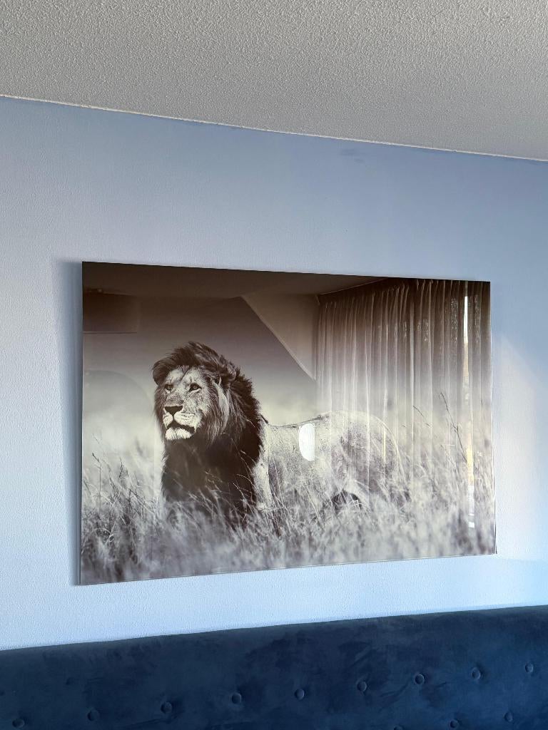 Plexiglas schilderij, Ophalen, 125 cm of meer, Zo goed als nieuw, Schilderij