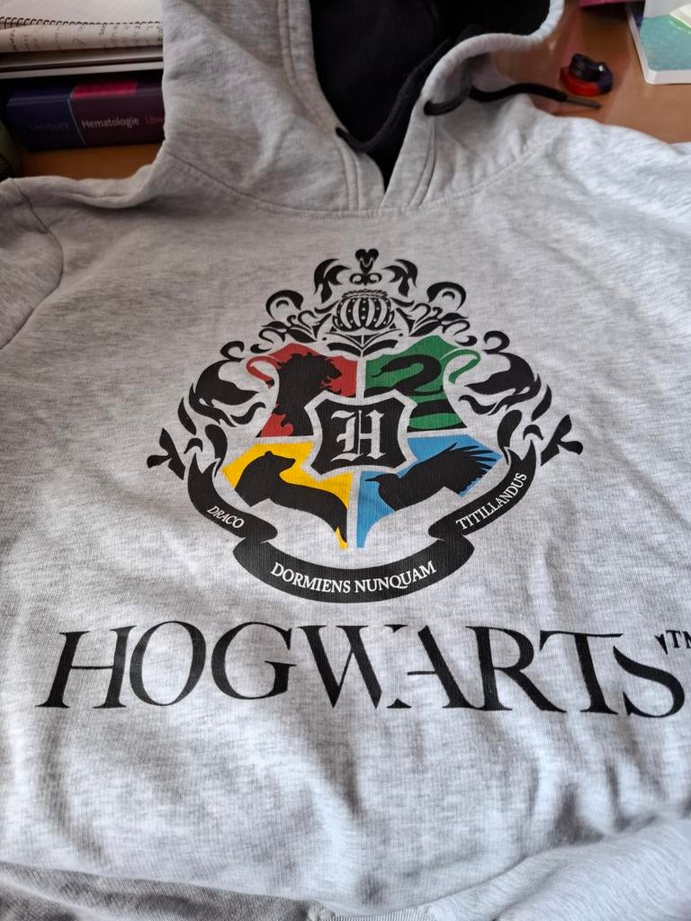Harry Potter Zweinstein Hoodie - Grijs, Kleding | Dames, Ophalen of Verzenden, Lange mouw, Harry Potter, Maat 36 (S)