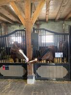 Stalhulp gezocht Zuidoostbeemster