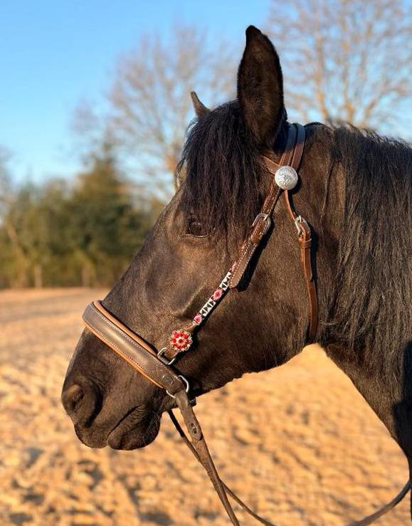Barefoot Shape-it sidepull neusriem, Ophalen of Verzenden, Dressuur