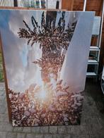 Fotodoek 120*80, Ophalen, 100 tot 125 cm, Schilderij, 75 cm of meer