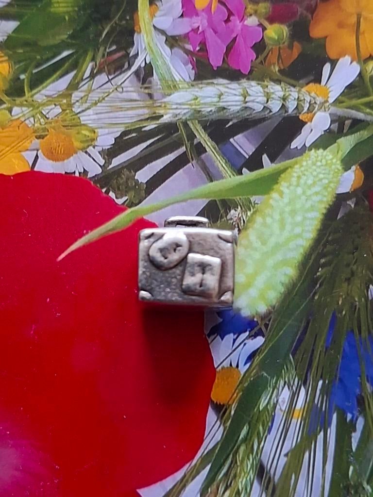 Pandora reiskoffertje, Sieraden, Tassen en Uiterlijk, Bedels, Gebruikt, Pandora, Ophalen of Verzenden, 1 bedel