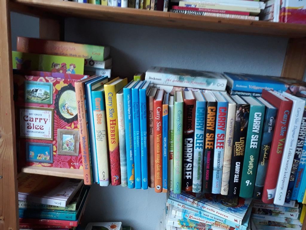 CARRY SLEE BOEKEN, Ophalen of Verzenden, Gelezen, Fictie algemeen