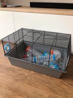 Hamsterkooi, Dieren en Toebehoren, Ophalen of Verzenden, Minder dan 75 cm, Kooi, Minder dan 60 cm