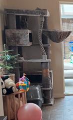 Petrebels Krabpaal turnpike 190 cappuccino, Dieren en Toebehoren, Ophalen, Gebruikt