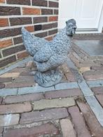 Betonbeeld Kip, Tuin en Terras, Tuinbeelden, Ophalen, Nieuw, Beton, Dierenbeeld