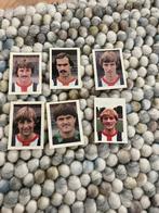 Willem 2 panini Vanderhout 1981-1982, Ophalen of Verzenden, Gebruikt, Buitenlandse clubs, Poster, Plaatje of Sticker
