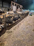 Schapen voerhek veno, Mannelijk, Schaap