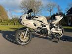 Unieke Suzuki SV 650s, Motoren, Motoren | Suzuki, 2 cilinders, Sportuitlaat, Meer dan 35 kW, Minimaal motorrijbewijs A2
