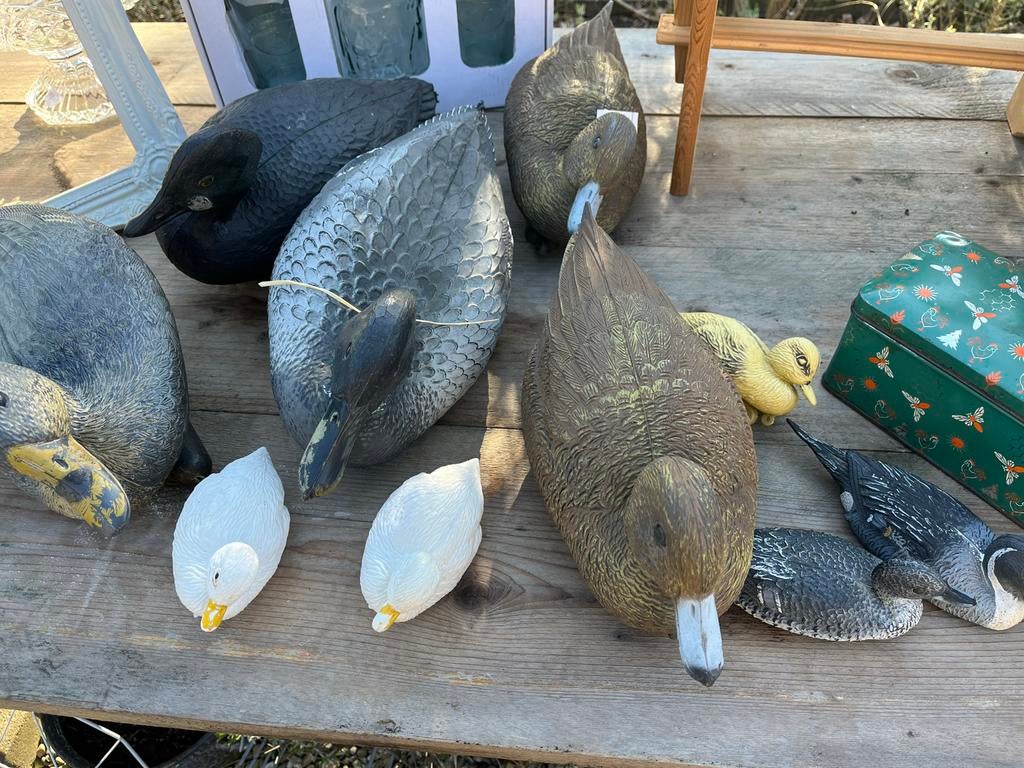 Lok eenden, Ophalen, Gebruikt, Vogel, Overige typen