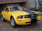 PONY GRILL FORD MUSTANG  05 -10 en meer, Auto-onderdelen, Ophalen of Verzenden, Ford, Motorkap