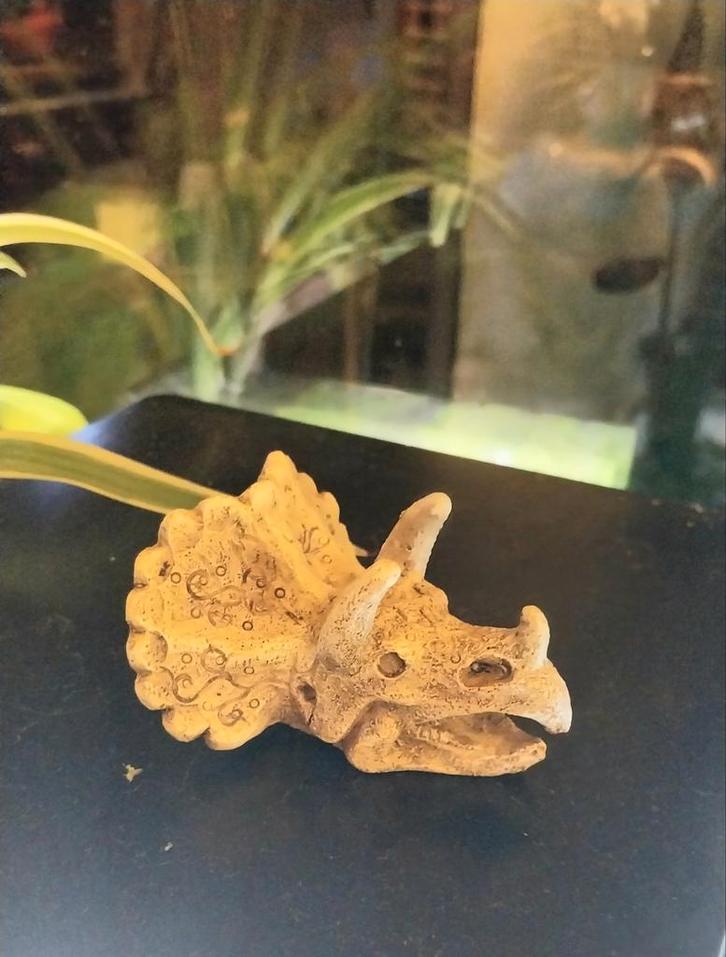 Dino Hoofd Aquarium Ornament, Dieren en Toebehoren, Vissen | Aquaria en Toebehoren, Ophalen of Verzenden