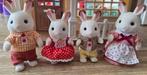 Sylvanian Families Konijnen Familie, Ophalen of Verzenden, Zo goed als nieuw, Overige typen