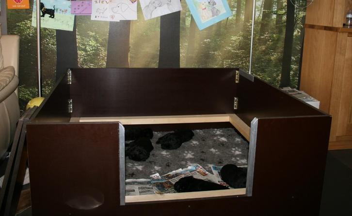 Werpkist/kamerkennel + diverse toebehoren, Dieren en Toebehoren, Honden-accessoires, Zo goed als nieuw, Ophalen