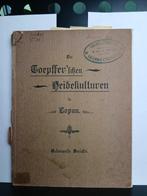Torpffer'sche Heidekulturen in Copan Vooroorlogs duits 1902, Ophalen of Verzenden