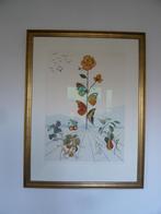 Litho Salvador Dalí Flordalí II La rose papillon met UV glas, Ophalen