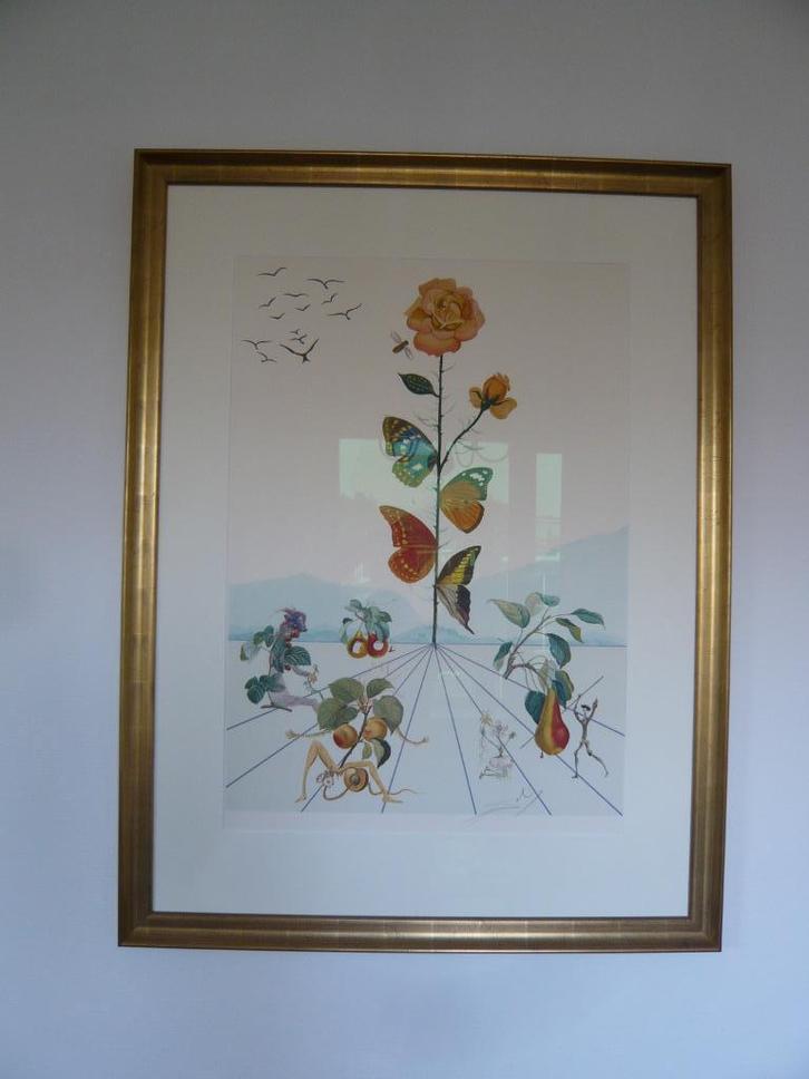 Litho Salvador Dalí Flordalí II La rose papillon met UV glas, Antiek en Kunst, Kunst | Litho's en Zeefdrukken, Ophalen