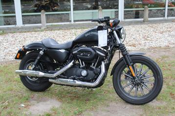 Harley-Davidson Sportster XL 883 sportster 883 iron beschikbaar voor biedingen