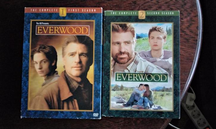 Everwood seizoen 1 en 2 compleet, 2 boxen, origineel, Cd's en Dvd's, Dvd's | Tv en Series, Zo goed als nieuw, Drama, Boxset, Alle leeftijden
